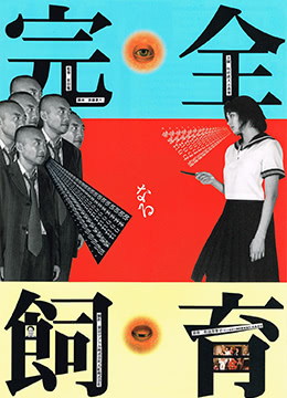 禁室培欲调教：密室监禁高潮培育实录